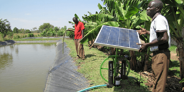 A farm that adopted agrosolar